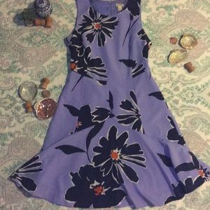 J crew Dress